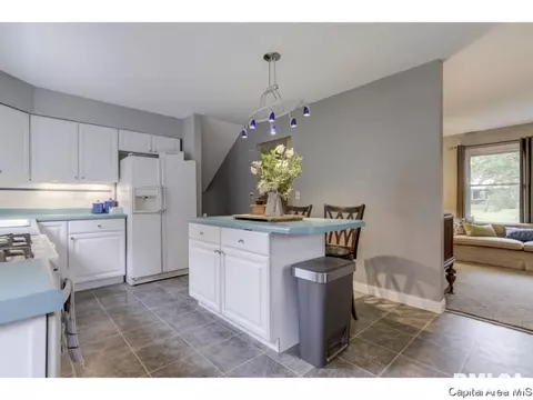 47 Cheyenne Dr, Springfield, IL 62711 photo 8