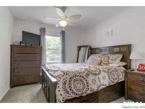 47 Cheyenne Dr, Springfield, IL 62711 photo 30
