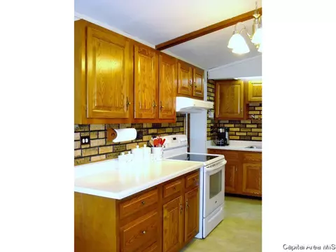 1565 Draper Ln, Abingdon, IL 61410 photo 18