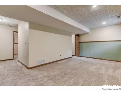 41 Lucerne Dr, Springfield, IL 62707 photo 21