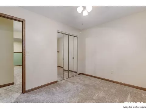 41 Lucerne Dr, Springfield, IL 62707 photo 19
