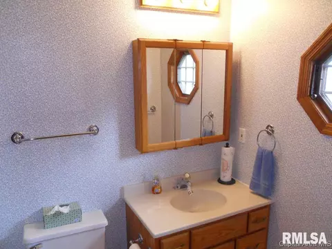 105 Davinci Dr, Springfield, IL 62703 photo 17