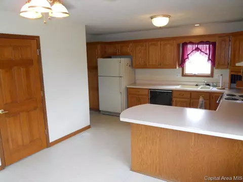 105 Davinci Dr, Springfield, IL 62703 photo 8