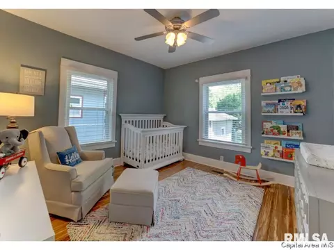 1525 Dial Ct, Springfield, IL 62704 photo 15