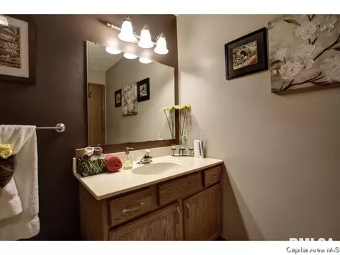 1117 Dani Ln, Springfield, IL 62712 photo 16