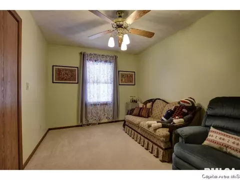 1117 Dani Ln, Springfield, IL 62712 photo 26