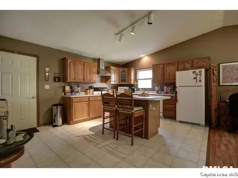 1117 Dani Ln, Springfield, IL 62712 photo 12