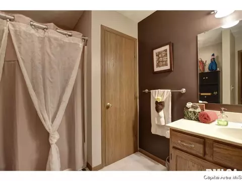 1117 Dani Ln, Springfield, IL 62712 photo 14