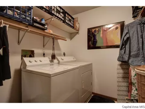 1117 Dani Ln, Springfield, IL 62712 photo 28