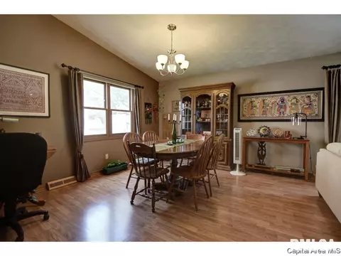 1117 Dani Ln, Springfield, IL 62712 photo 8
