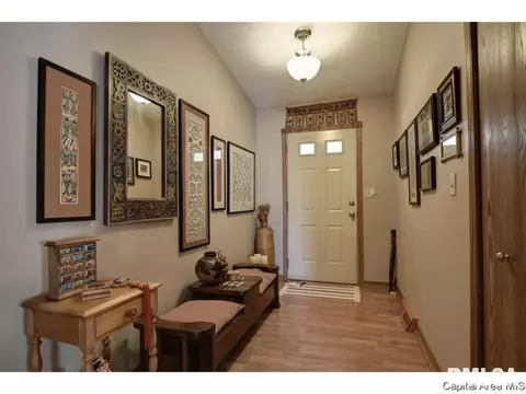 1117 Dani Ln, Springfield, IL 62712 photo 3