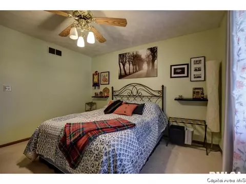 1117 Dani Ln, Springfield, IL 62712 photo 22