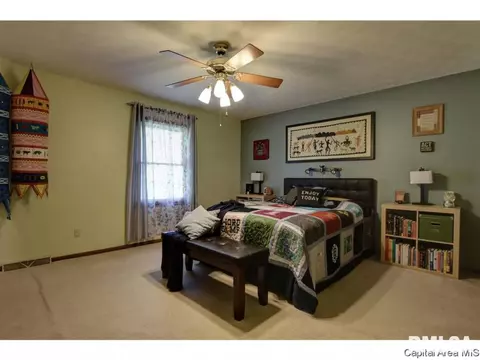 1117 Dani Ln, Springfield, IL 62712 photo 19