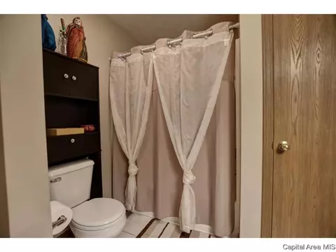 1117 Dani Ln, Springfield, IL 62712 photo 15