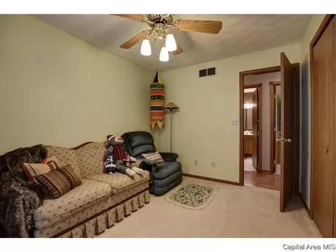 1117 Dani Ln, Springfield, IL 62712 photo 24