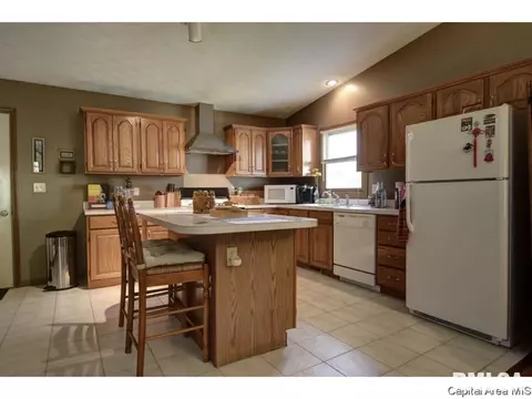 1117 Dani Ln, Springfield, IL 62712 photo 13