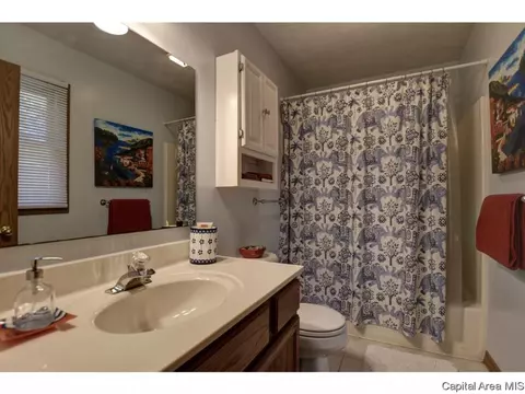 1117 Dani Ln, Springfield, IL 62712 photo 20