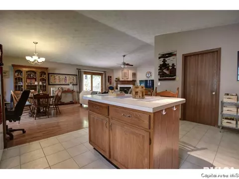 1117 Dani Ln, Springfield, IL 62712 photo 11