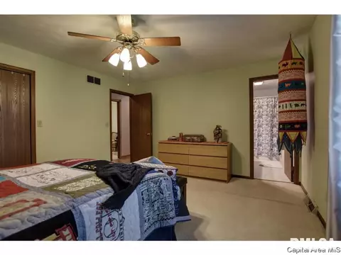 1117 Dani Ln, Springfield, IL 62712 photo 17