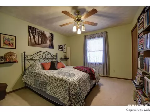1117 Dani Ln, Springfield, IL 62712 photo 23
