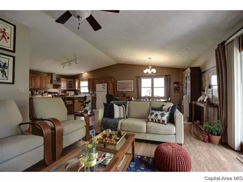 1117 Dani Ln, Springfield, IL 62712 photo 5
