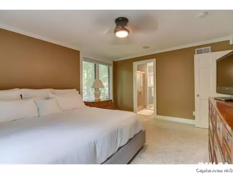 36 Hickory Pt, Springfield, IL 62712 photo 25