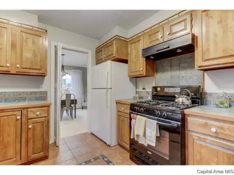 1 Turnberry Pl, Springfield, IL 62704 photo 11