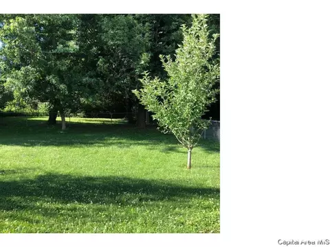205 Buckhorn Dr, Springfield, IL 62707 photo 25
