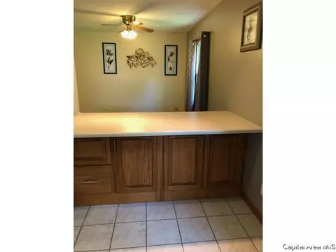 205 Buckhorn Dr, Springfield, IL 62707 photo 11