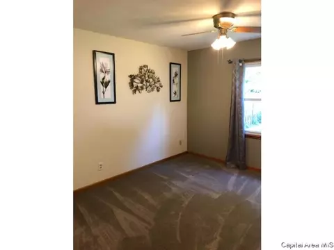 205 Buckhorn Dr, Springfield, IL 62707 photo 13