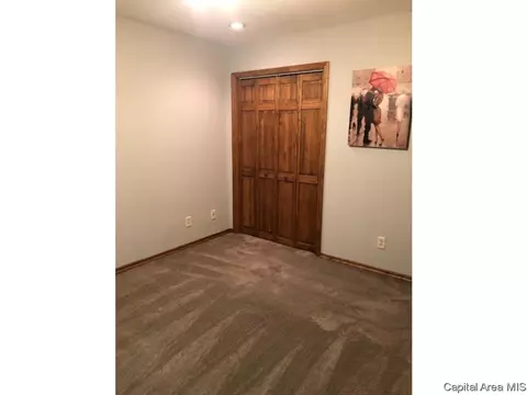 205 Buckhorn Dr, Springfield, IL 62707 photo 23