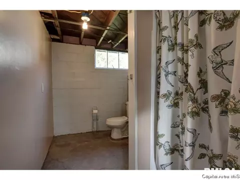 1517 Jerome Ave, Springfield, IL 62704 photo 24
