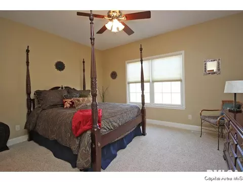 4405 Cricket Pt, Springfield, IL 62711 photo 17