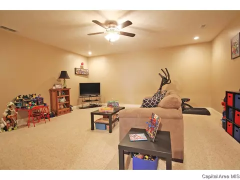 4405 Cricket Pt, Springfield, IL 62711 photo 28