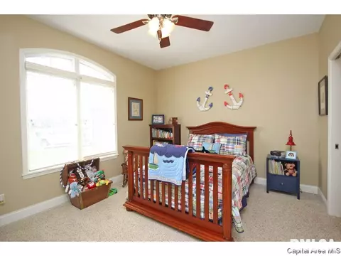 4405 Cricket Pt, Springfield, IL 62711 photo 20