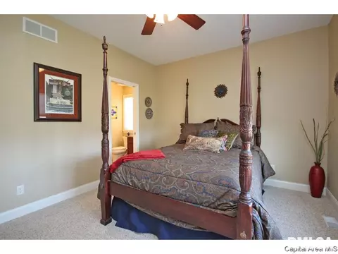 4405 Cricket Pt, Springfield, IL 62711 photo 18
