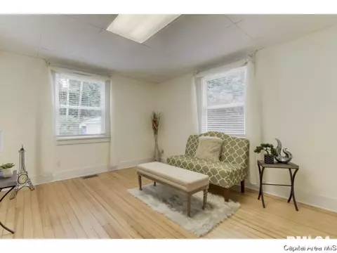 310 S Adelia St, Springfield, IL 62704 photo 22
