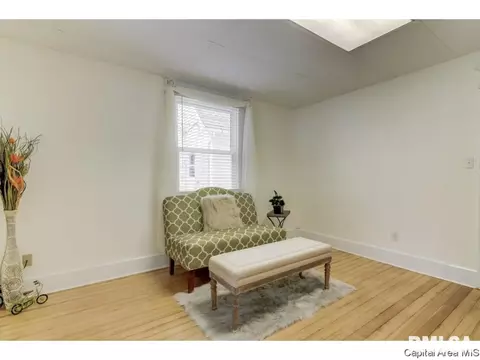 310 S Adelia St, Springfield, IL 62704 photo 21