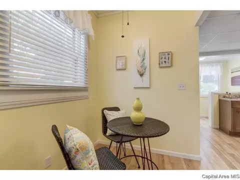 310 S Adelia St, Springfield, IL 62704 photo 15