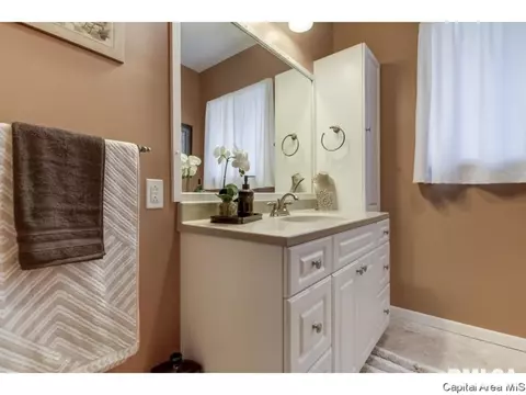 310 S Adelia St, Springfield, IL 62704 photo 24