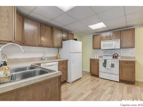 310 S Adelia St, Springfield, IL 62704 photo 13