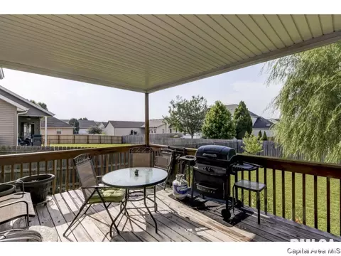 4825 Leah, Springfield, IL 62711 photo 29