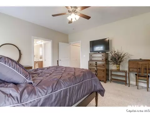 4825 Leah, Springfield, IL 62711 photo 20