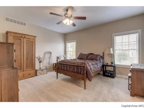 4825 Leah, Springfield, IL 62711 photo 24