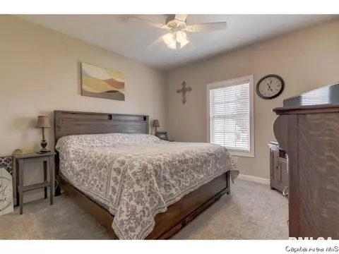 4825 Leah, Springfield, IL 62711 photo 16