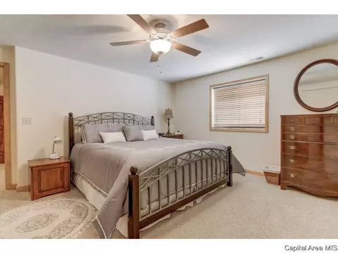 4210 Amy Ct, Springfield, IL 62711 photo 14