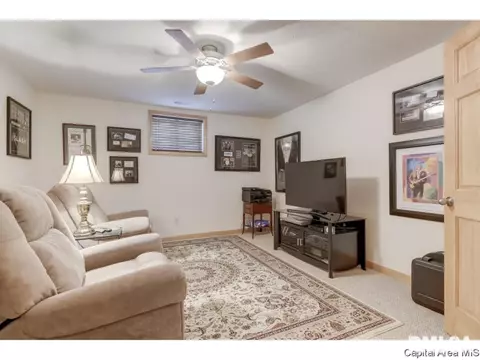 4210 Amy Ct, Springfield, IL 62711 photo 23