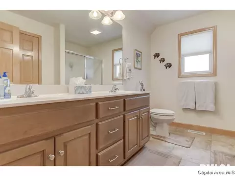 4210 Amy Ct, Springfield, IL 62711 photo 16