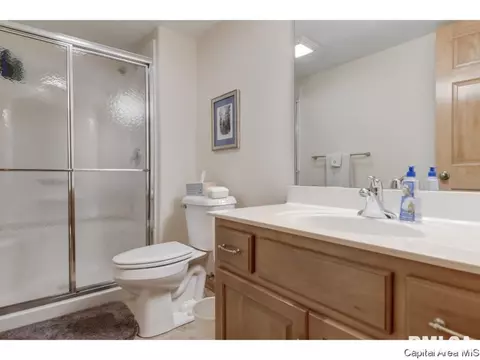 4210 Amy Ct, Springfield, IL 62711 photo 19