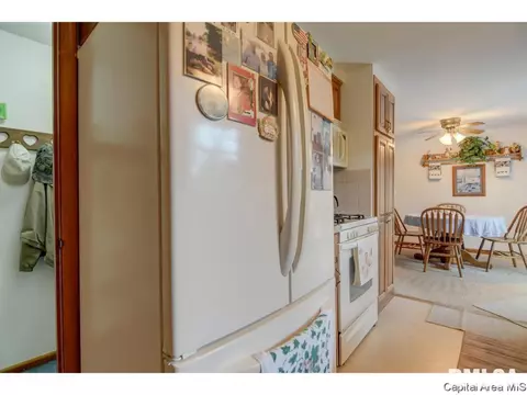 409 N Springfield Rd, Athens, IL 62613 photo 10